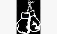 Наклейка боксерские перчатки (цвет белый)