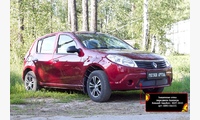 Защитная сетка переднего бампера Renault Sandero 2009-2013
