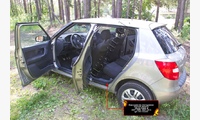 Накладки на внутренние пороги дверей Skoda Fabia II 2010-2013
