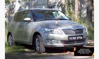 Защитная сетка и заглушка переднего бампера Skoda Fabia II 2010-2013