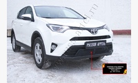 Защитная сетка решетки переднего бампера Toyota Rav4 2015-