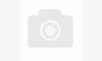 Молдинги на двери широкие Renault Sandero 2009-2013